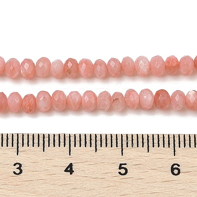 Natural Freshwater Shell Dyed Beads Strands SHEL-R100-13A-03-1