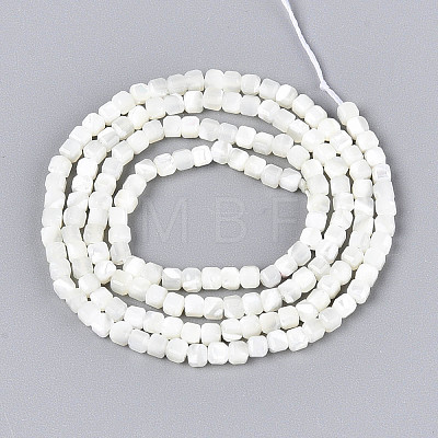 Natural Trochid Shell/Trochus Shell Beads Strands SSHEL-N041-04A-01-1