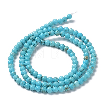 Natural Howlite Beads Strands G-E604-B04-B-1