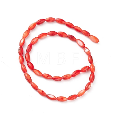 Natural Freshwater Shell Dyed Beads Strands X-SHEL-M018-13-05-1