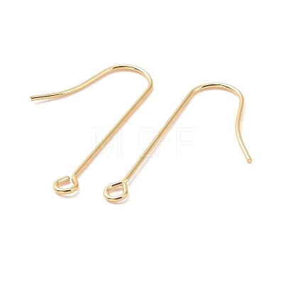 316 Surgical Stainless Steel Earring Hooks LS-X-STAS-E027-02B-G-1