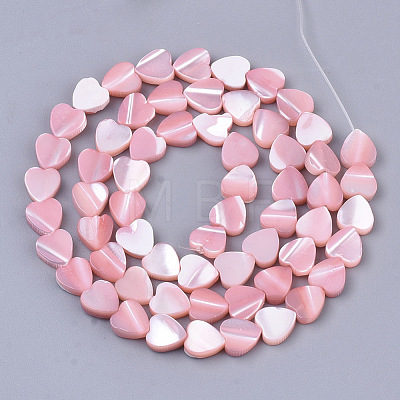 Natural Trochid Shell/Trochus Shell Beads Strands SSHEL-T012-05-1