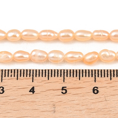 Natural Cultured Freshwater Pearl Beads Strands PEAR-F020-26B-1