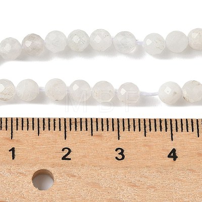 Natural Moonstone Beads Strands G-C201-B06-4mm-1