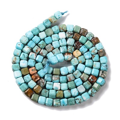 Natural Howlite Beads Strands G-G001-A03-06-1