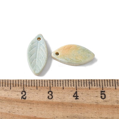 Natural Rainbow Alashan Agate Pendants G-G194-03C-1