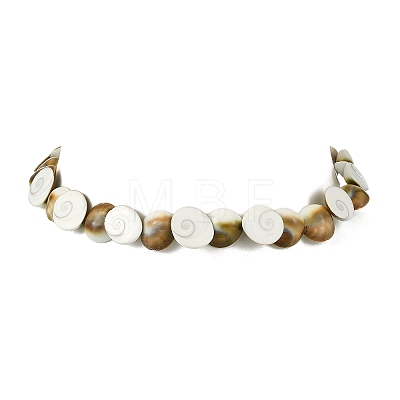 Natural Shiva Eye Shell Beaded Necklaces NJEW-JN06273-1