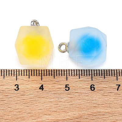 Frosted Resin Polygon Pendants RESI-U002-10-1