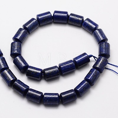Natural Lapis Lazuli Column Bead Strands G-M264-16-1