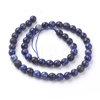 Natural Lapis Lazuli Beads Strands G-G059-8mm-1