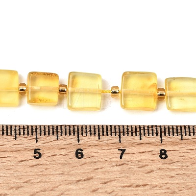 Natural Amber Beads Strands G-C260-A01-04-1
