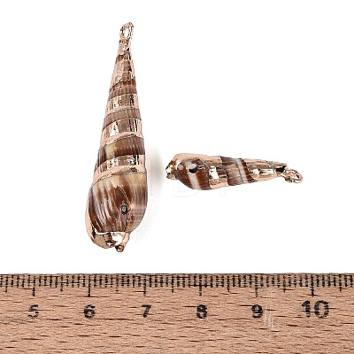 Electroplate Natural Spiral Shell Pendants SSHEL-Q100-50G-1