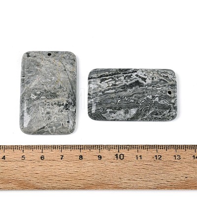 Natural Map Stone Pendants G-N361-04A-1