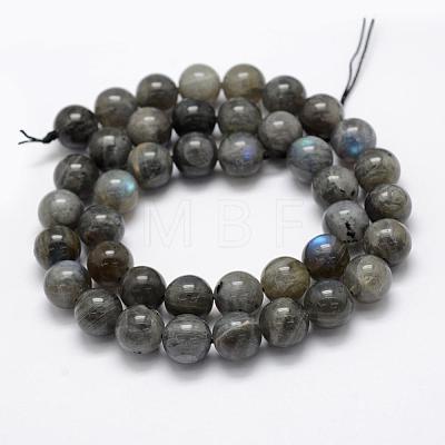 Natural Labradorite Beads Strands G-P322-31-10mm-1