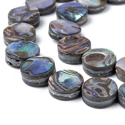 Natural Abalone Shell/Paua Shell Beads Strands SSHEL-G003-5-8x3mm-1