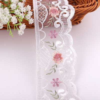 Polyester Lace Trim Ribbons PW-WG55501-02-1-1