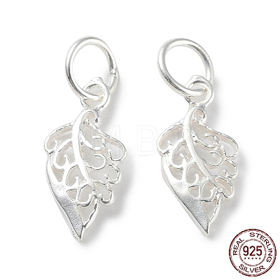 925 Sterling Silver Hollow Charms STER-E069-03S-1