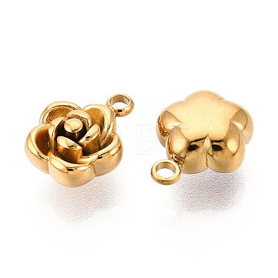 304 Stainless Steel Charms X-STAS-N112-11G-1
