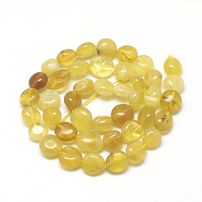 Natural Yellow Opal Beads Strands X-G-R445-8x10-06-1