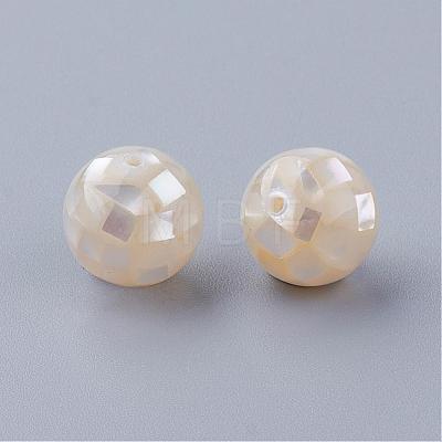 Natural White Shell Beads SSHEL-Q298-16mm-08-1