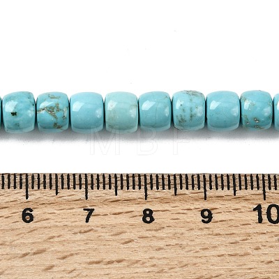 Natural Magnesite Beads Strands G-P598-C01-01A-1