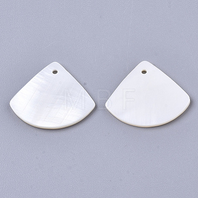 Natural Freshwater Shell Pendants X-SHEL-R047-19-1
