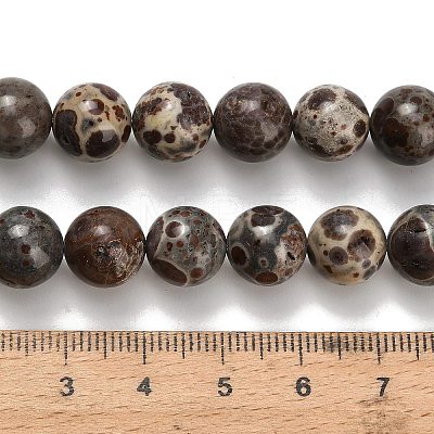 Natural Astroite Jasper Beads Strands G-H329-C02-10mm-1