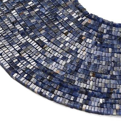 Natural Sodalite Beads Strands GG-CBA2498-C05-01-1