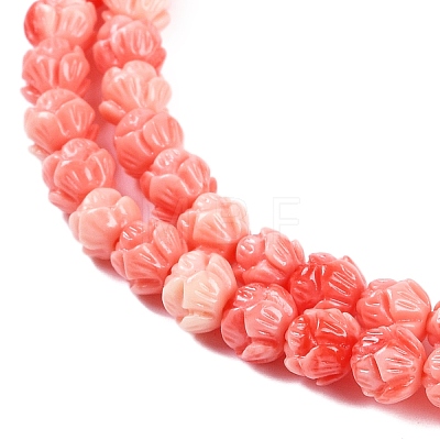 Synthetic Shell Dyed Carved Beads Strands SHEL-C008-01-1