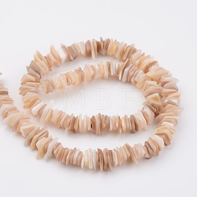 Natural Shell Bead Strands X-BSHE-P021-14-1