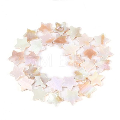 Natural Freshwater Shell Beads Strands SSHEL-N040-18-1