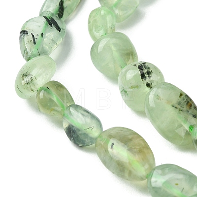 Natural Prehnite Beads Strands G-Z034-D09-01-1