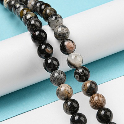 Natural Black Silver Leaf Jasper Beads Strands G-R494-A17-03-1