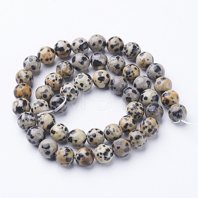 Natural Dalmatian Jasper Beads Strands X-GSR004-1