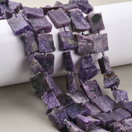 Natural Charoite Beads Strands G-D101-B17-1