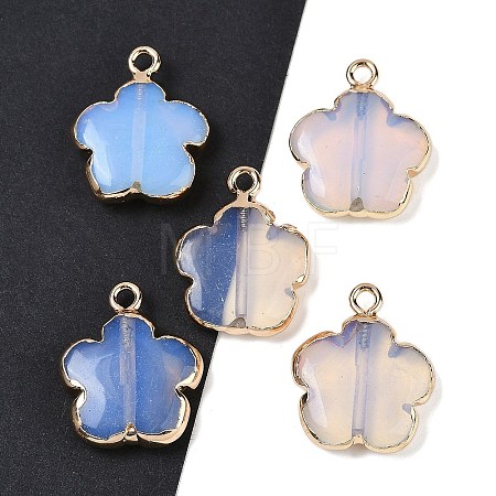 Opalite Pendants G-P566-01G-03-1