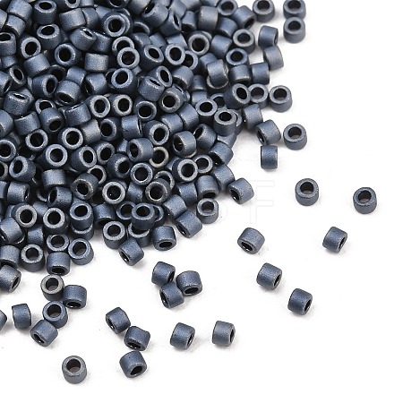 MIYUKI Delica Beads X-SEED-J020-DB0301-1