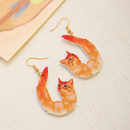 Acrylic Dangle Earrings FS-WG7CC71-02-1