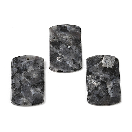 Natural Larvikite Pendants G-K354-14H-1