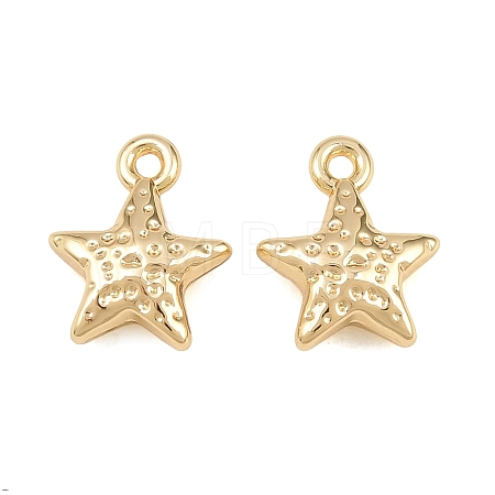 Alloy Charms AL-CBA83D5-07G-1