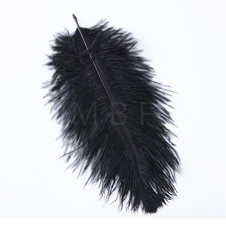 Ostrich Feather Costume Accessories FIND-R036-A-07-1