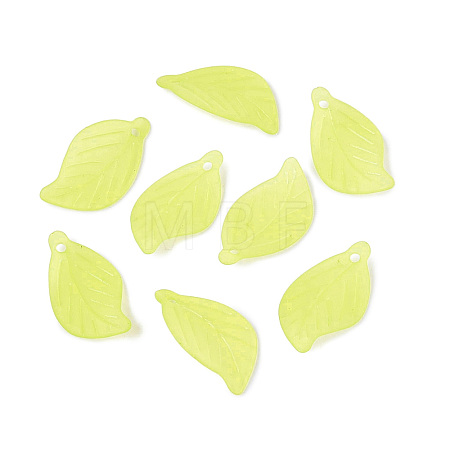 Transparent Acrylic Pendants FACR-R007-12-01-1