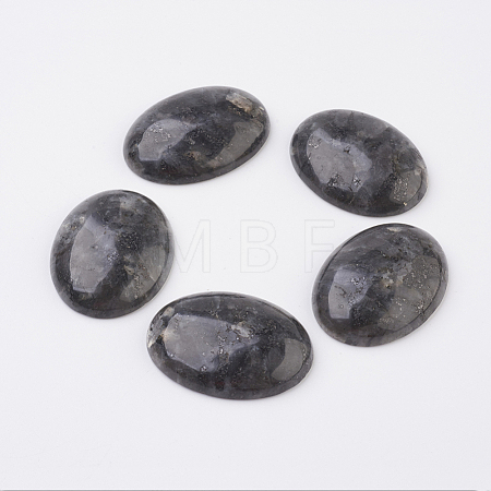 Natural Larvikite Flat Back Cabochons G-G741-30x40mm-04-1