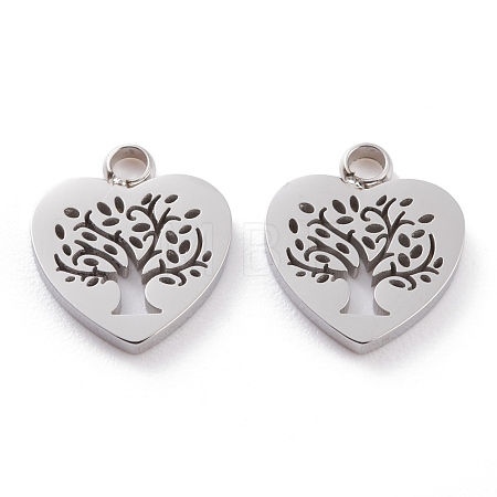 Non-Tarnish 304 Stainless Steel Charms STAS-Y002-05P-1