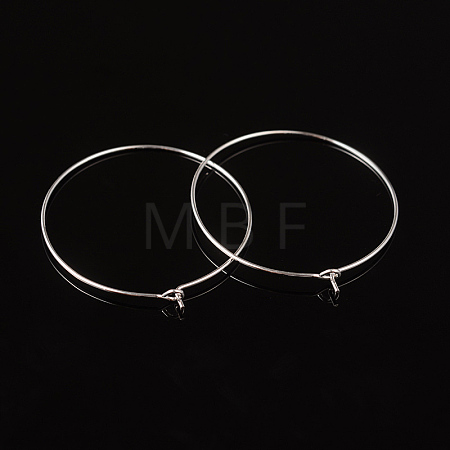 Silver Color Plated Brass Earring Hoops X-EC067-4S-1