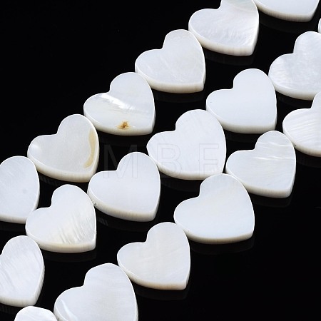 Natural Freshwater Shell Beads Strands SHEL-N027-21-1