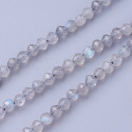 Natural Labradorite Beads Strands G-F619-15-3mm-1