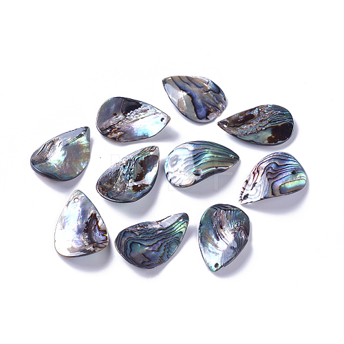 Natural Abalone Shell/Paua Shell Pendants SSHEL-F303-07-1