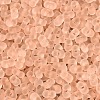 FGB Frosted Transparent Glass Seed Beads SEED-N013-06A-03-3