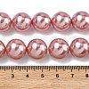 Electroplated Shell Pearl Beads Strands BSHE-G041-14mm-05-2